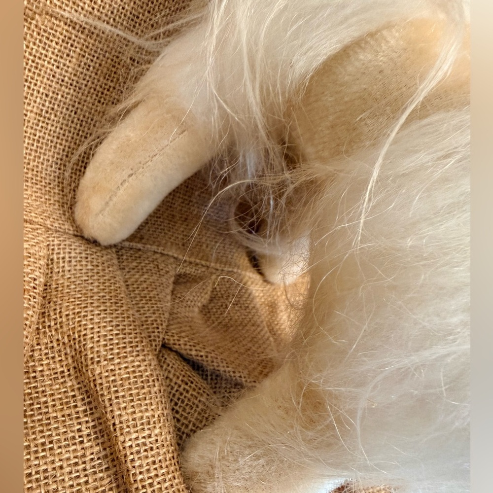 Vintage 1960โs Plush Pandora POODLE stuffed animal 13"
R DAKIN Nature Babies GUC - Picture 8 of 16